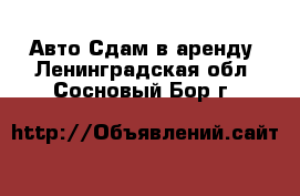 Авто Сдам в аренду. Ленинградская обл.,Сосновый Бор г.